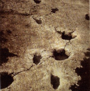 Impronte su ceneri vulcaniche