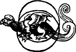 Images of the head and Tayle of the Dragon of the Moon.