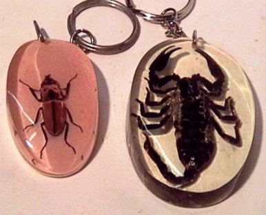 Amuleti - Scorpione e Coleottero