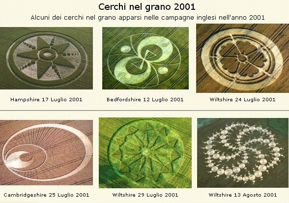 Cerchi grano 1