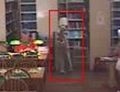 Fantasma in Biblioteca - 2