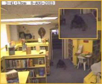 Fantasma in Biblioteca - 5