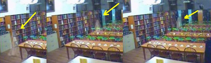 Fantasma in Biblioteca - 10