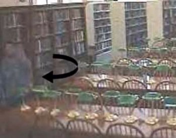 Fantasma in Biblioteca - 24