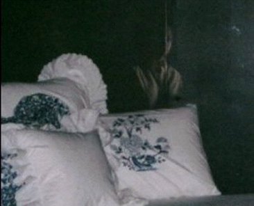 Fantasma nel Letto