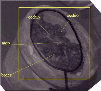 Vaso con Larva Astrale - Dettaglio