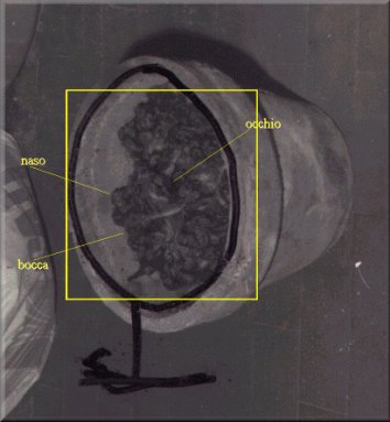 Vaso con Larva Astrale - Dettaglio con parti della larva