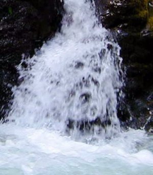 Formazione Larvale in un Corso d'Acqua