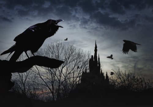 crow, dawn, castle