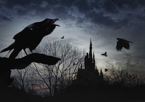 crow, dawn, castle